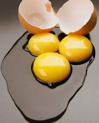 Ejercicios y Rutinas: Las propiedades del huevo