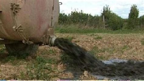 El 30% del agua subterránea en Catalunya, contaminada nitratos