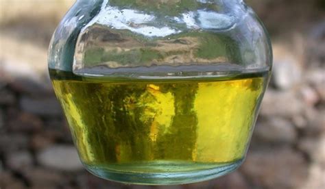 El aceite de soja, vinculado a cambios neurológicos