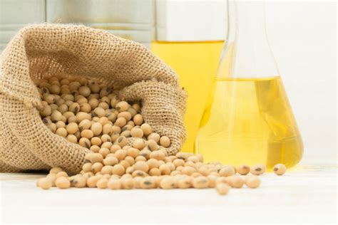 El aceite de soja y sus beneficios para la salud   Cocina ...