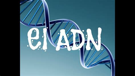 El ADN   Biología   YouTube