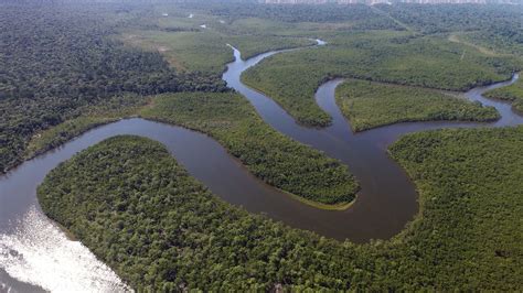 El Amazonas dentro de llamas: incendios forestales superan ...