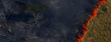 El Amazonas en llamas: incendios forestales superan los 70 ...