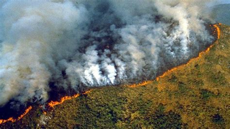 ¡El Amazonas en llamas! Incendios forestales superan los ...