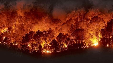 El Amazonas está en llamas, el pulmón del planeta sufre