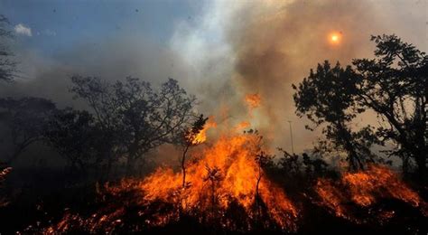 El Amazonas está en llamas hace 16 días: las terribles ...