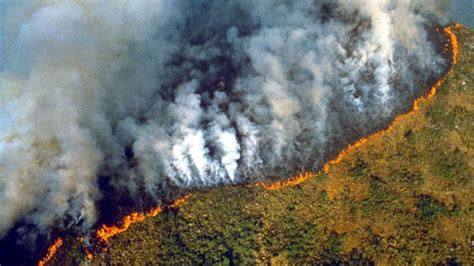 El Amazonas está en llamas y el humo se puede ver desde el ...