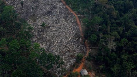 El Amazonas se quema: Los incendios aumentan más de un 80%