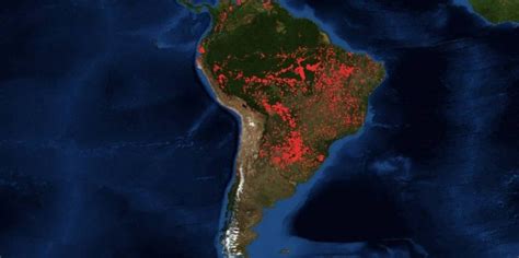 El Amazonas se quema y a los gobiernos parece no importarle