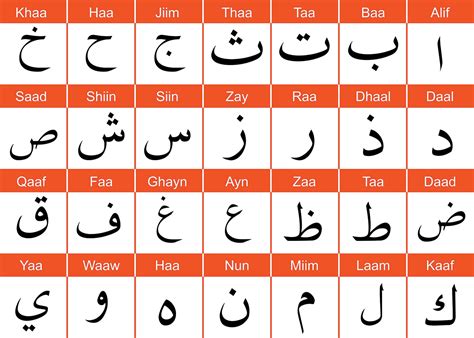 El árabe marroquí y algunas nociones de vocabulario ...