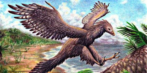 El  Archaeopteryx  volaba y prueba que las aves descienden de los ...
