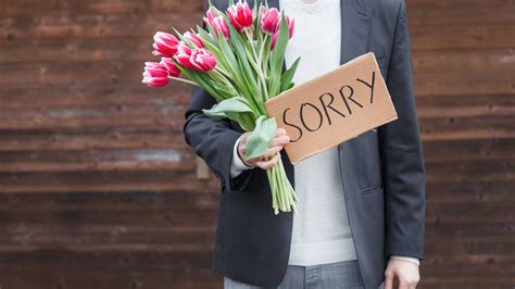 El arte de disculparse: así puedes pedir perdón y quedar ...