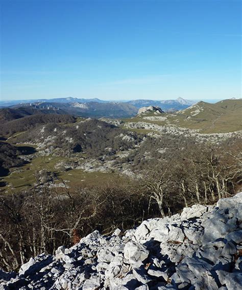 EL BALCÓN DE LOS BUITRES – Casa Rural Urbasa :: casa rural ...