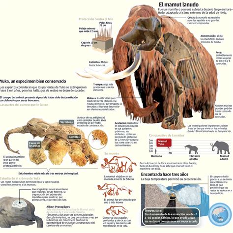 El Baúl de la Historia Universal: INFOGRAFÍA: YUKA, el mamut de 39 000 ...