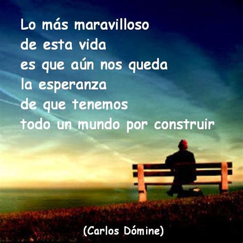 El blog de Carlos Dómine. Frases para Reflexionar:  Lo más ...