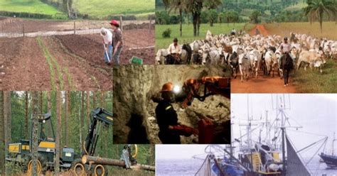 El Blog de Israel: Minería, agricultura, ganadería y pesca