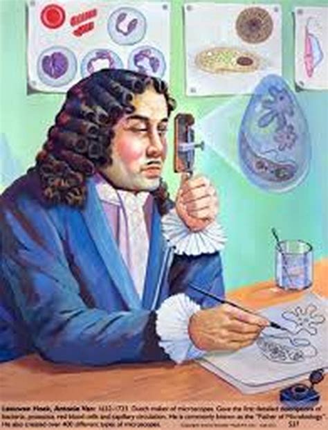 EL BLOG DE MARIA: Los microscopios de Van Leeuwenhoek: La ...