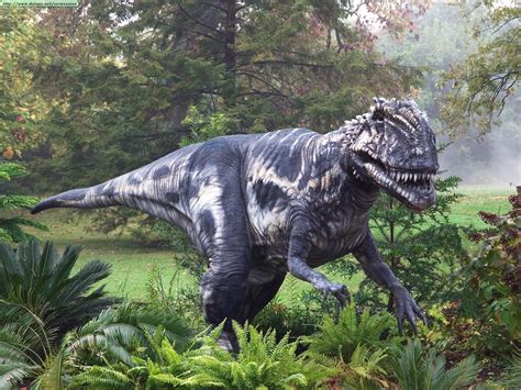 El Blog de Patricia : Los dinosaurios