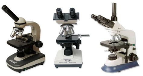 el Blog del Profe de Biolo: Tipos de Microscopios ópticos