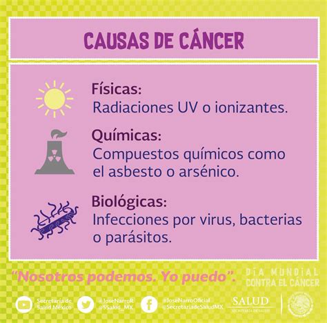 El cáncer tiene múltiples causas. algunas de ellas pueden ...