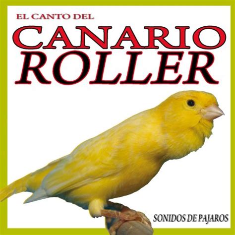 El Canto del Canario Roller. Sonidos de Pajaros by Sound ...