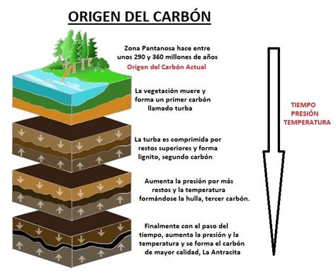 El Carbon: Que es, Origen, Formación y Tipos de Carbon