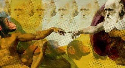 El Catafracto: La teoría de Darwin: ¿Creacionismo o evolucionismo?
