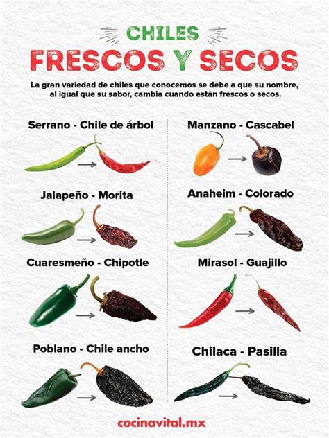 El chile, un alimento que no puede faltar en la cocina mexicana ...