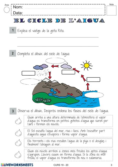 El cicle de l aigua Ficha interactiva
