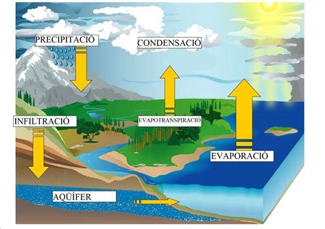 El cicle de l’aigua | L aigua a la ZER Bages