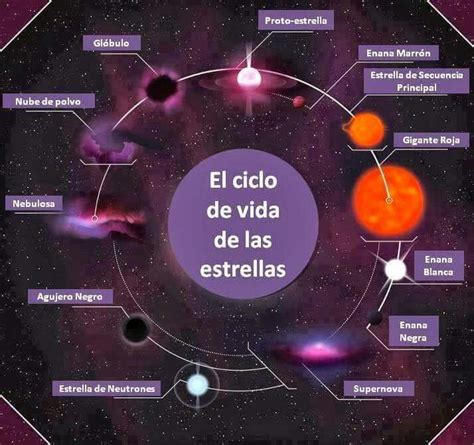 El ciclo de vida de las estrellas | ASTRONOMIA | Pinterest