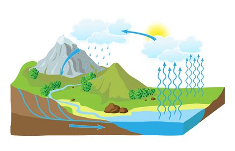 El ciclo del agua, ¿cuánto sabes? | Fundación Aquae