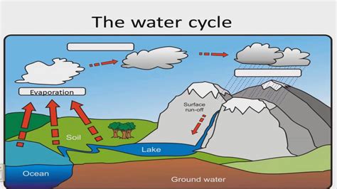 El ciclo del agua en inglés para niños de Primaria   water ...