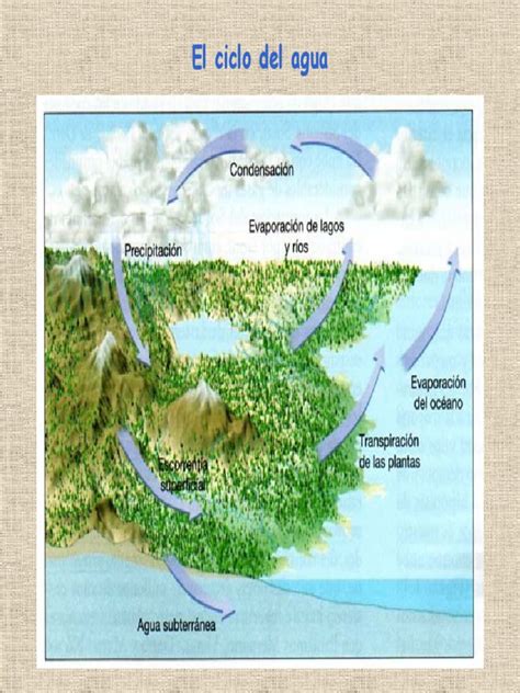 El ciclo del agua | Evapotranspiración | Agua