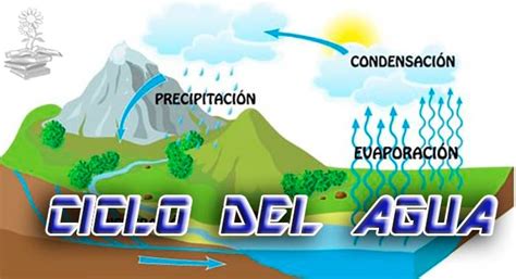 El Ciclo del Agua o Ciclo Hidrológico del Agua  ️ ️