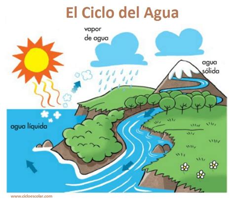 El Ciclo del Agua   Para niños.   Ciclo Escolar