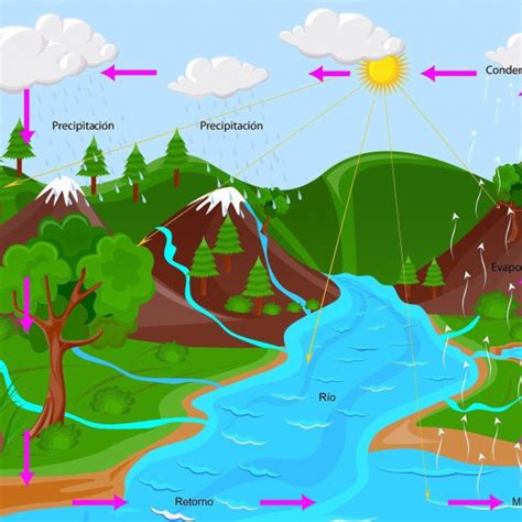 El ciclo del agua   Pictoeduca