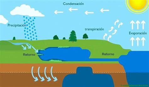 El ciclo del agua  Primaria  | Ciclo del agua, Lecturas ...
