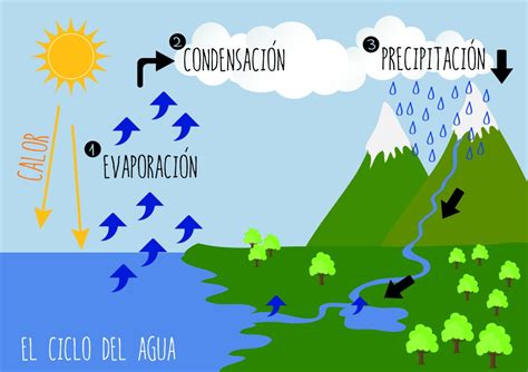 El ciclo del agua – Aprende Geografía, Historia, Arte, TIC ...