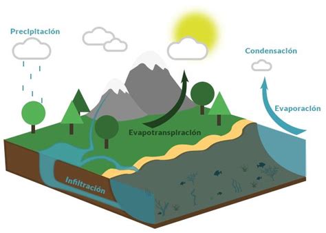 El ciclo del agua, también conocido como ciclo hidrológico ...