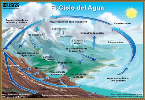 El ciclo del agua  The Water Cycle : Organización de las ...
