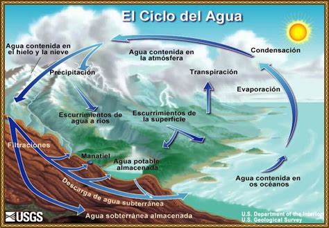 El ciclo del agua. Viendo este diagrama podrías explicar ...