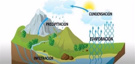 El ciclo del agua y la hidrosfera 1ºESO