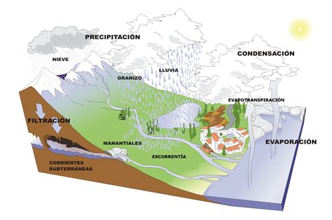 El ciclo hidrológico. | La hidrosfera: estructura y dinámica