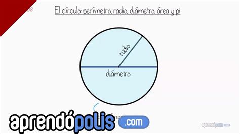 El círculo: perímetro, radio, diámetro, área y Pi | Matematicas ...