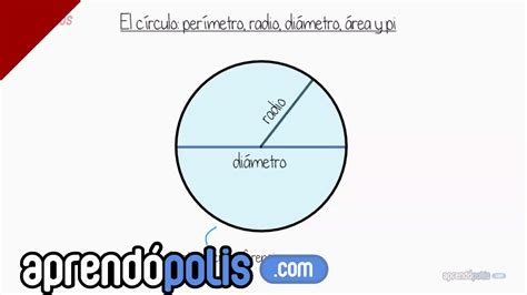 El círculo: perímetro, radio, diámetro, área y Pi   YouTube