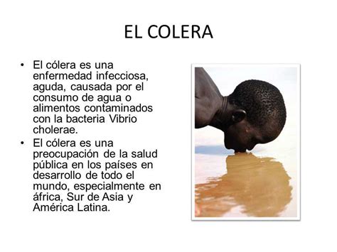 EL COLERA El cólera es una enfermedad infecciosa, aguda ...