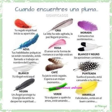 El Color de las Plumas de los Angeles y su Significado ...