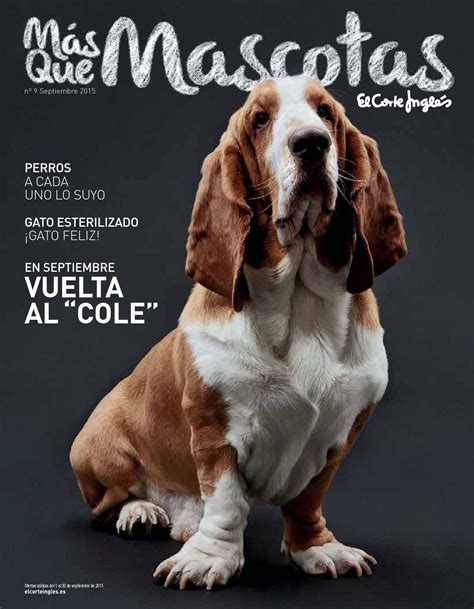 El Corte Inglés Más Que Mascotas Septiembre 2015 | Vebuka.com