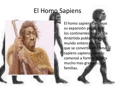 el cromagnon y homo sapiens